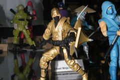 08_GoldNinja