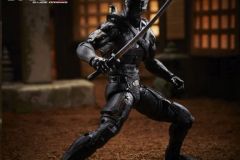GIJ-CS-Snake-Eyes-1