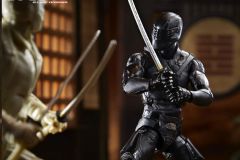 GIJ-CS-Snake-Eyes-8