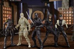 GIJ-CS-Snake-Eyes-Group