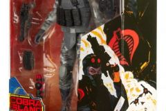 03-GIJoe-Classified-Firefly