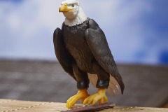 GIJ-CS-Spirit-Image-6