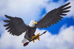 GIJ-CS-Spirit-Image-7