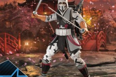 gijoe-classified-storm-shadow-v2-131-box-back