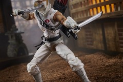 GIJ-CS-Storm-Shadow-Image-1