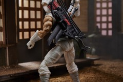 GIJ-CS-Storm-Shadow-Image-2