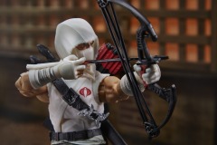 GIJ-CS-Storm-Shadow-Image-3