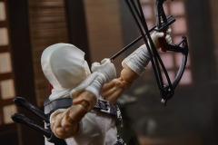 GIJ-CS-Storm-Shadow-Image-4