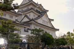 exctracted-scene-00726